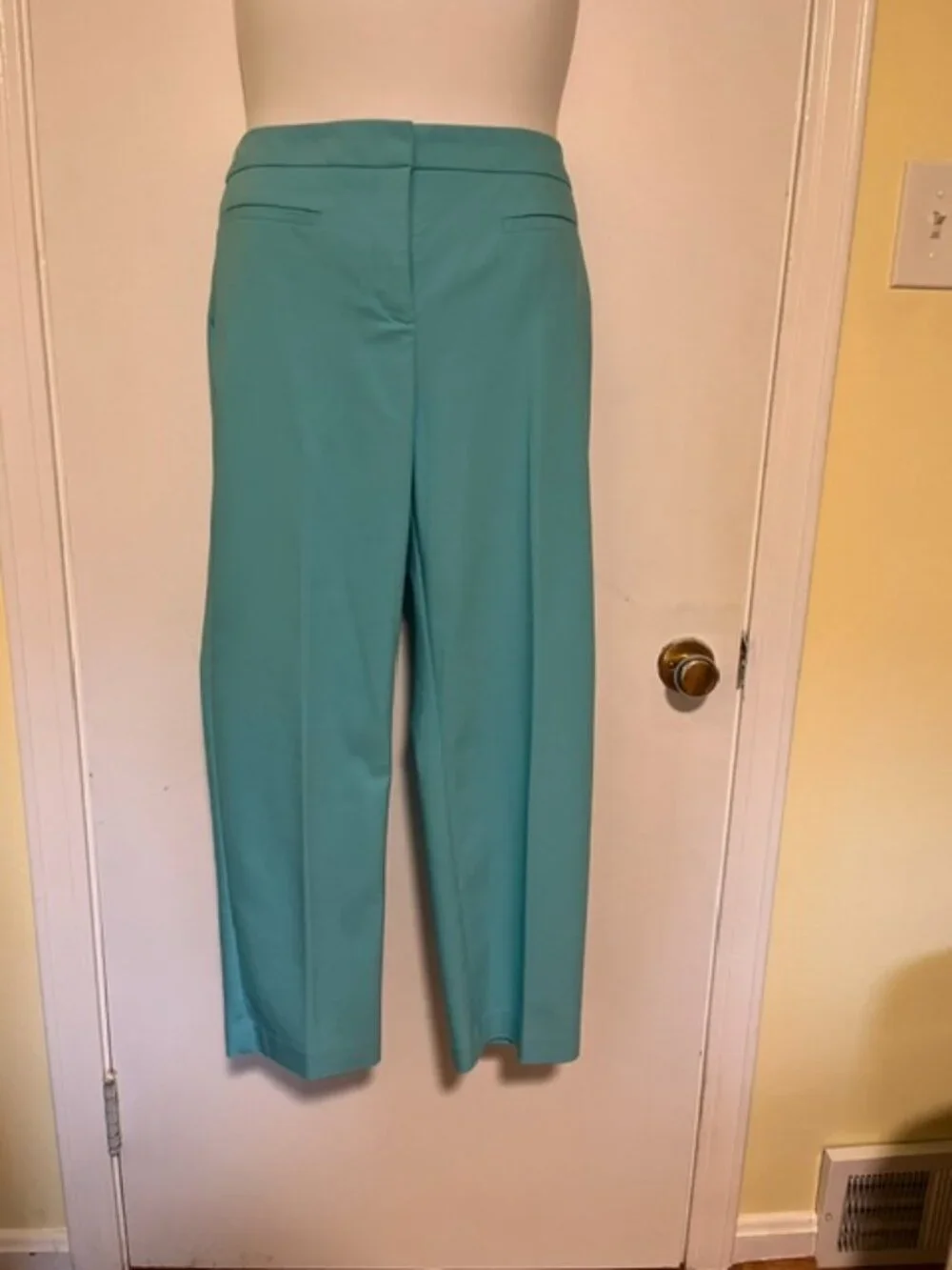 Lot of 3 Capri Crop Pants Size L / 14 - Pink Blue Teal Chicos